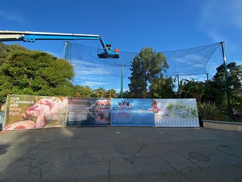 Chain Link Fencing at the Zoo
